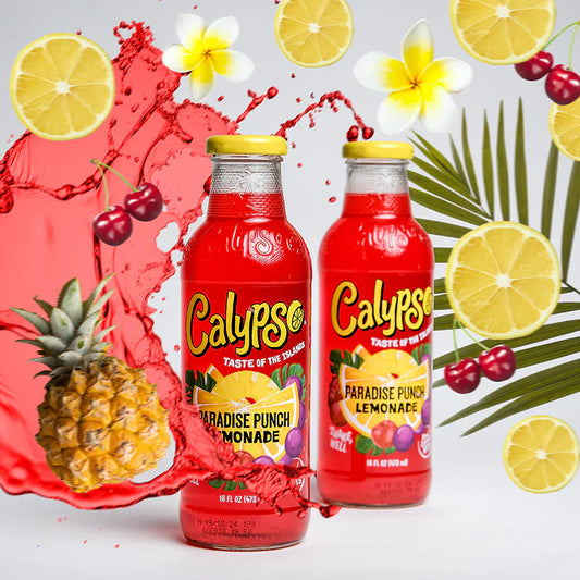 6 pack - Calypso Paradise Punch Lemonade Soda Pop (not for sale) Calypso, TSAED