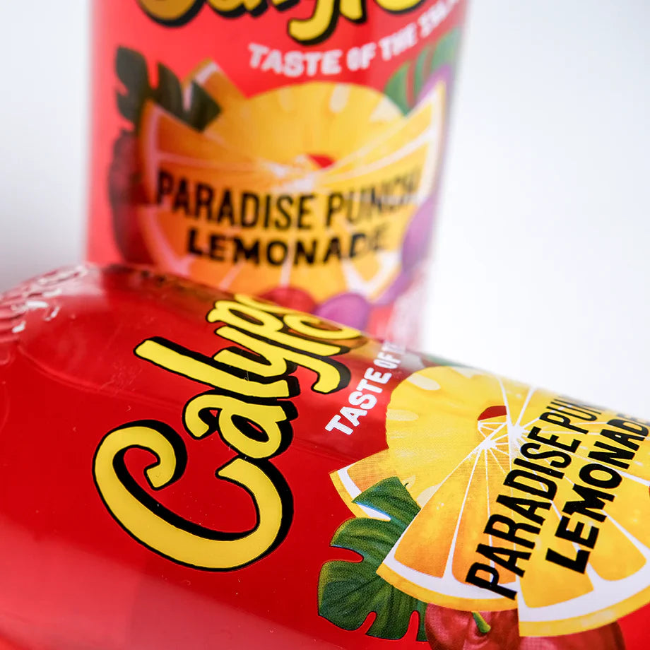 6 pack - Calypso Paradise Punch Lemonade Soda Pop (not for sale) Calypso, TSAED