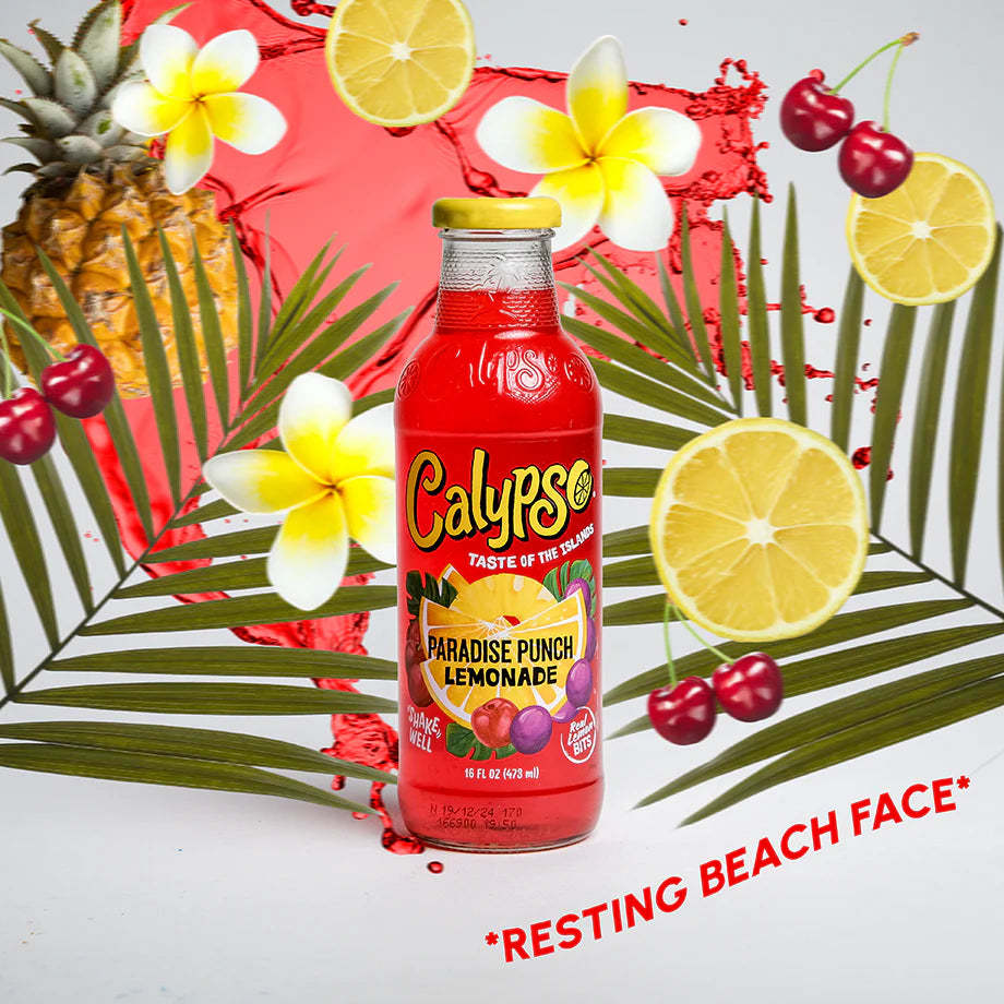 6 pack - Calypso Paradise Punch Lemonade Soda Pop (not for sale) Calypso, TSAED