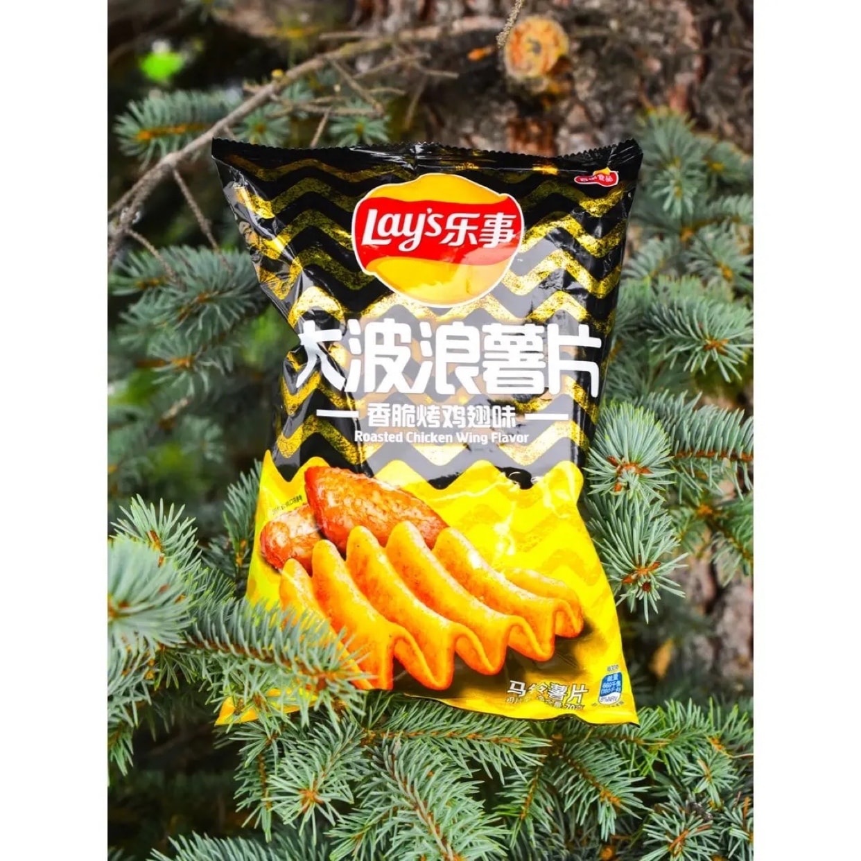 Lays Big Wave Grilled Chicken Wings Flavour Chips (70g) - China