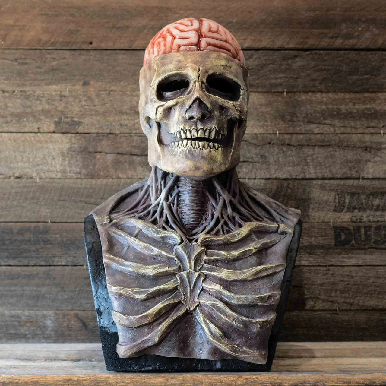 Full Head Skull Skeleton Halloween Mask