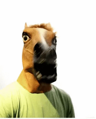 Funny Meme Animal Head Masks Gifts (not for sale) Halloween Masks, TSHAMA