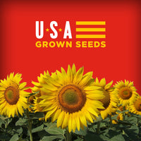 Thumbnail for Big's Sunflower Seeds Cheeseburger Peg Bags 152g
