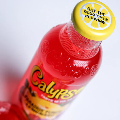 6 pack - Calypso Paradise Punch Lemonade Soda Pop (not for sale) Calypso, TSAED