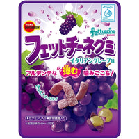 Thumbnail for Bourbon Fettuccine Grape Gummy (50g) - Japan