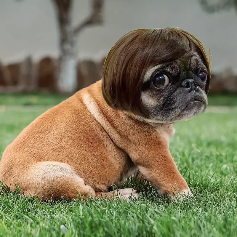 Funny Wig for Pets (Cats and Dogs)