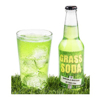 Thumbnail for Grass Soda (355ml)