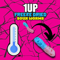 Thumbnail for 1UP Freeze Dried Sour Worms Candy