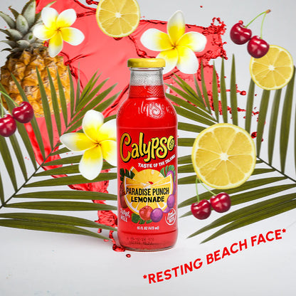 6 pack - Calypso Paradise Punch Lemonade Soda Pop (not for sale) Calypso, TSAED