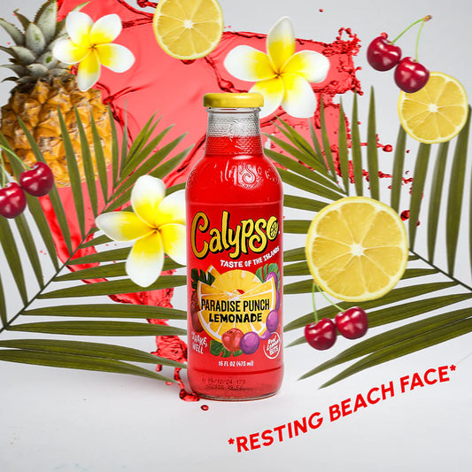 6 pack - Calypso Paradise Punch Lemonade Soda Pop (not for sale) Calypso, TSAED