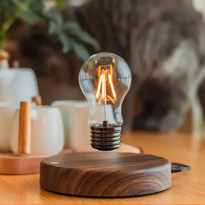 Magnetic Levitation Magical Desk Nordic Lamp Gifts (not for sale) Snack Attack